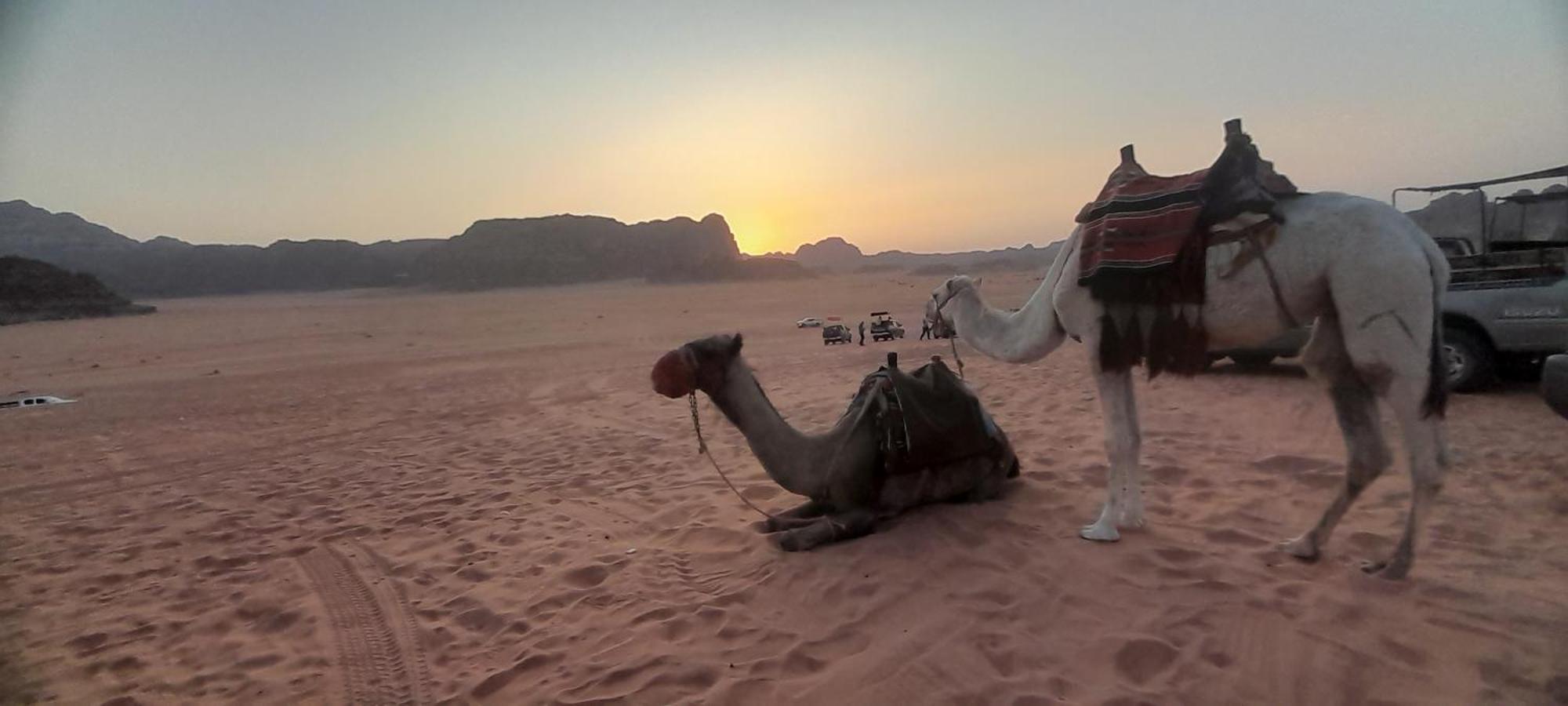 Desert Star Camp Wadi Rum Exterior photo